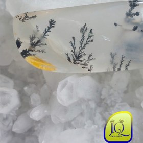 تصویر نگین کوارتز شجر 