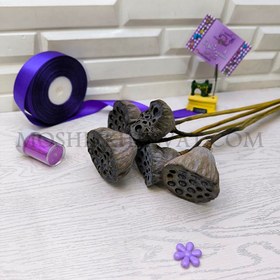 تصویر گل خشک مدل نیلوفر مرداب 