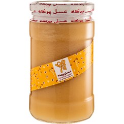 تصویر عسل رس طبیعی شرکت پرنده | 900 گرمی 