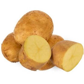 تصویر سیب زمینی سایز بزرگ مقدار 1000 گرم ا Potato Size Large 1000gr Potato Size Large 1000gr