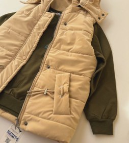 تصویر پافر بچگانه - کرمی / ۷۰ 