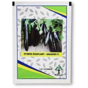 تصویر بذر بادمجان شادو کلش سیدز ۵۰۰۰ عددی 