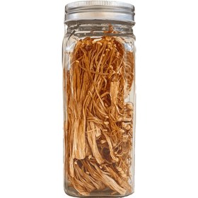 تصویر قارچ انوکی 