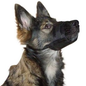 تصویر پوزه بند سگ دنیل X50 danniel Nylon Dog Muzzlen