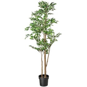 تصویر درخت بنجامين FEJKA ايكيا 