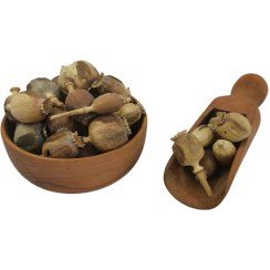 تصویر غوزه خشخاش ۱۰۰ گرم 