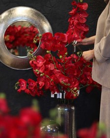 تصویر ارکیده سرخ 