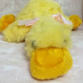 تصویر عروسک خز اردک تنبل کارتونی وارداتی 