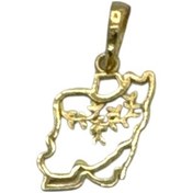 تصویر پلاک گردنبند طلا 18 عیار زنانه طرح نقشه ایران مدل PSG46 