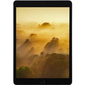 تصویر تبلت اپل مدل iPad 9th Generation 10.2-Inch cellular 2021 ظرفیت 64 گیگابایت ا Apple iPad 9th Generation 10.2-Inch cellular 2021 64GB Tablet Apple iPad 9th Generation 10.2-Inch cellular 2021 64GB Tablet