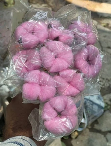 تصویر فروشگاه گلستونک