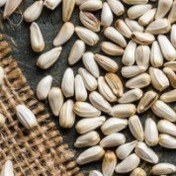 تصویر دانه کافشه 