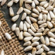 تصویر فروشگاه مواد غذایی دایی