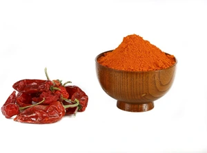 تصویر فروشگاه مشکدار