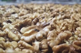 تصویر مغز گردو مخصوص دسر 