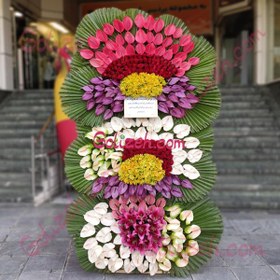 تصویر گل افتتاحیه ملل 