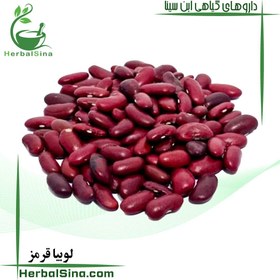 تصویر لوبیا قرمز 