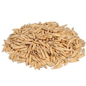 تصویر جودوسر پوست کنده 