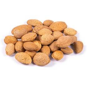 تصویر بادام سنگی 