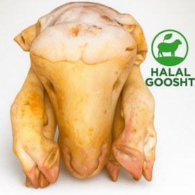 تصویر کله پاچه 