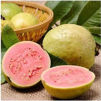خرید و قیمت بذر گواوا صورتی | ترب