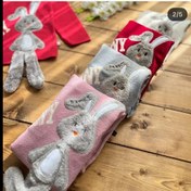 تصویر بافت خرگوش بانی 