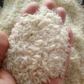 تصویر برنج هاشمی درجه یک 99 (10 کیلویی) 