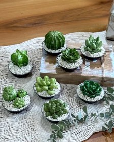 تصویر کاکتوس سرامیکی - 12888 