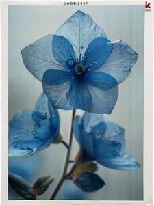 تصویر فروشگاه لوازم هنری خیام