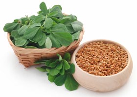 تصویر بذر شنبلیله 10، 100 و 500 گرمی