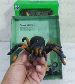 تصویر ربات کنترلی عنکبوت شارژی ۱۵ سانتی 