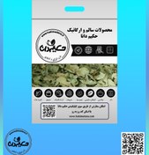 تصویر گیاه گزنه 60 گرمی 