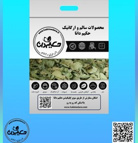 تصویر گیاه گزنه 60 گرمی 