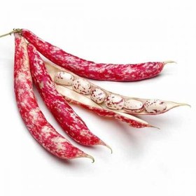 تصویر لوبیا چیتی فیما (400 گرم) 