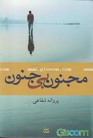 تصویر مجنون بی‌جنون 