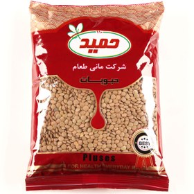 تصویر عدس 900 گرم – سلفون 