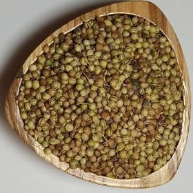 تصویر تخم گشنیز 