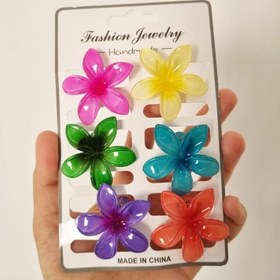 تصویر گیر انبری پلومریا 180 