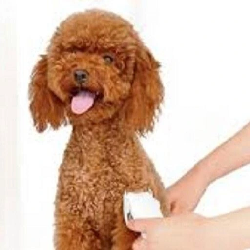 خرید و قیمت ماشین اصلاح حیوانات خانگی شیائومی Pawbby مدل MG-HC001A | ترب