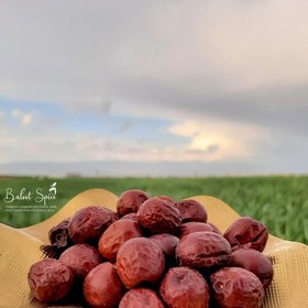 تصویر رب عناب ارگانیک وزن خالص 800 گرم داخل جار پلاستیکی استوانه ای بزرگ با لیبل چاپی ضدآب 