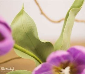 تصویر بودکور وينر سيليکوني برگ لاله 2100339 