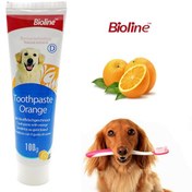 تصویر خمیر دندان سگ بایولاین با طعم پرتقال Bioline Dog Toothpaste With Orange Flavor