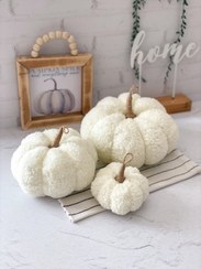 تصویر کدو تنبل تدی دکوری - قطر 