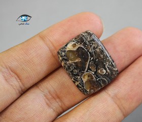 تصویر فسیل توریتلا 5.5 گرم 