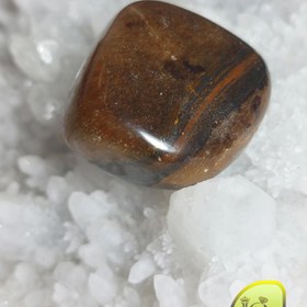 تصویر تامبل چشم ببر 