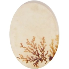 تصویر سنگ شجر کد 3039 