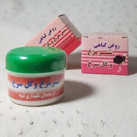 تصویر روغن گیاهی شترمرغ و گل سرخ گیاهی تبریز رستاک (20 گرمی) 