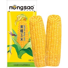 تصویر ذرت شیرین nongsao 