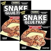 تصویر تله چسب مار هریس، با اندازه فوق العاده برای مار، موش، موش و حشرات (2 بسته) Harris Snake Glue Trap, Super Sized for Snakes, Rats, Mice and Insects (2-Pack)