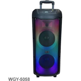 تصویر اسپیکر اصلی و اورجینال مدل WGY-5058 